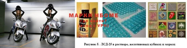 apvp Алексин