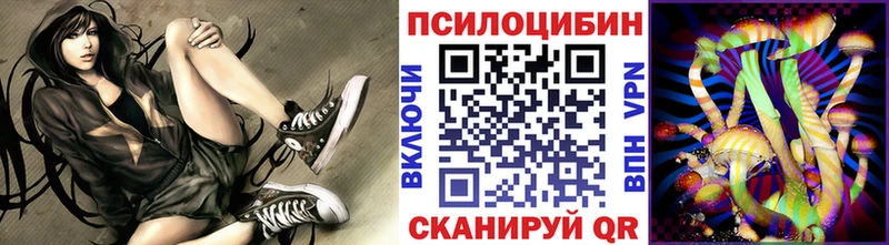 Псилоцибиновые грибы мицелий  Нюрба 